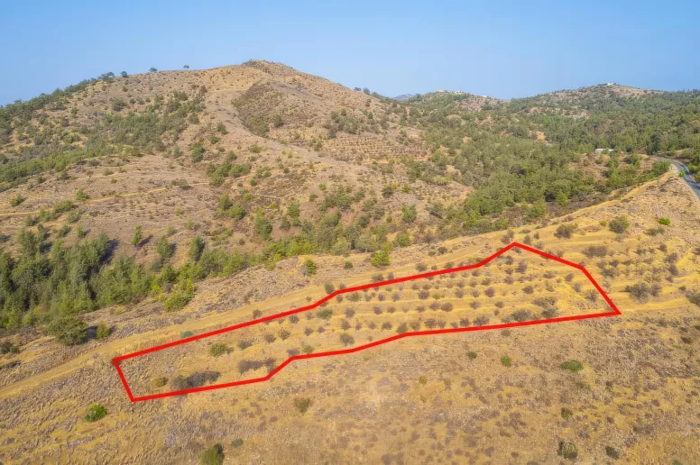 Agricultural land in Nicosia, Agia Marina Xyliatou