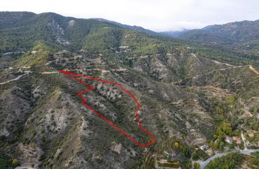 Agricultural land - 18486, photo 2