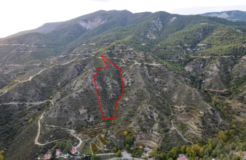 Agricultural land - 18486, photo 3