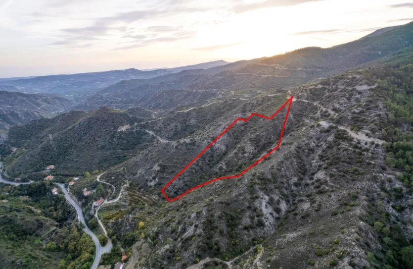 Agricultural land - 18486, photo 4