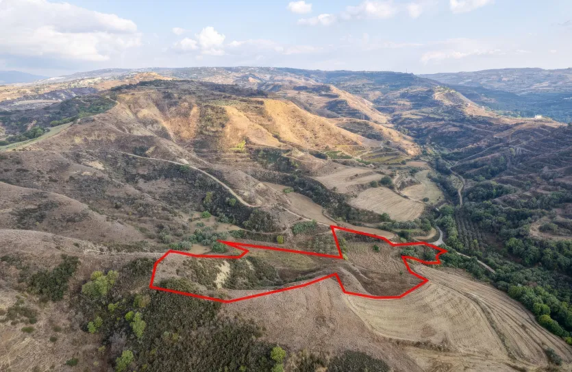 Agricultural land - 18493, photo 2