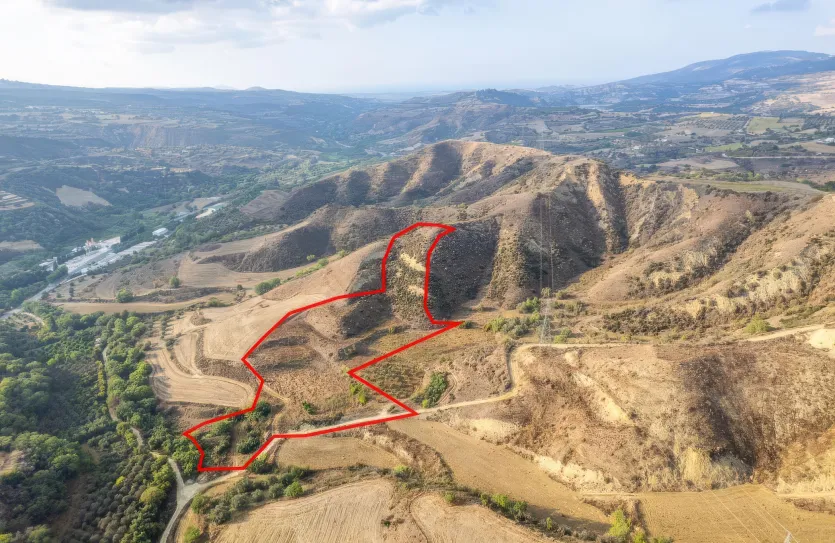 Agricultural land - 18493, photo 3