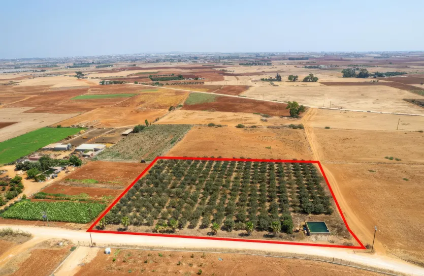 Agricultural land for sale - 18492