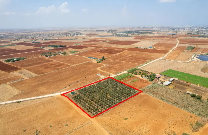 Agricultural land - 18492, photo 3