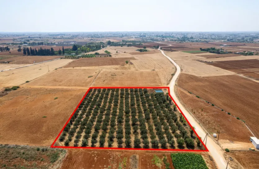 Agricultural land - 18492, photo 4