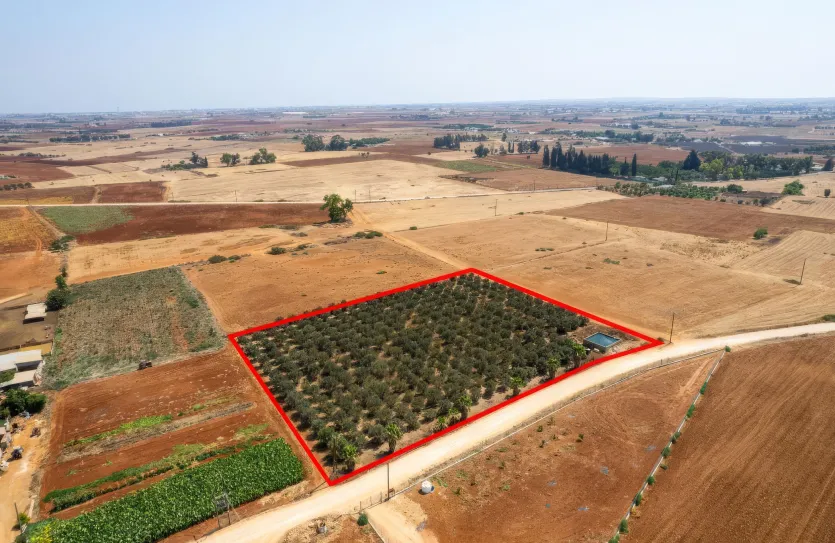 Agricultural land - 18492, photo 5