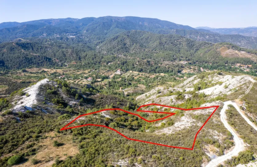 Agricultural land - 18495, photo 3