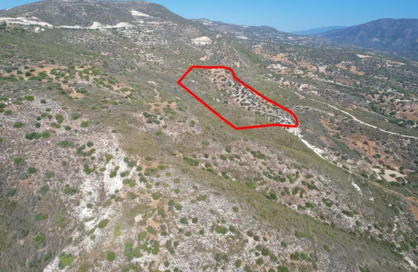 Agricultural land for sale - 18498