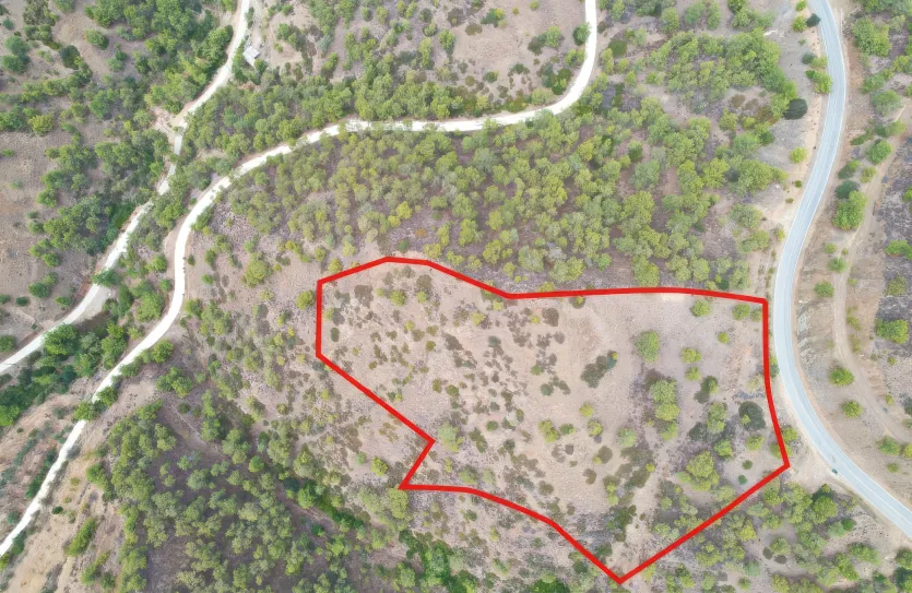 Agricultural land - 18502, photo 3