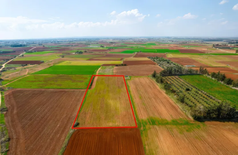 Agricultural land - 18499, photo 2