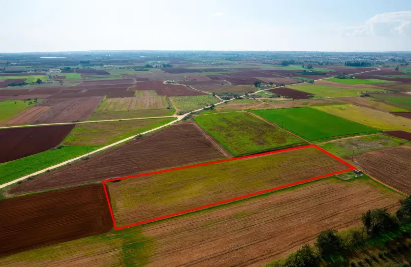 Agricultural land - 18499, photo 3