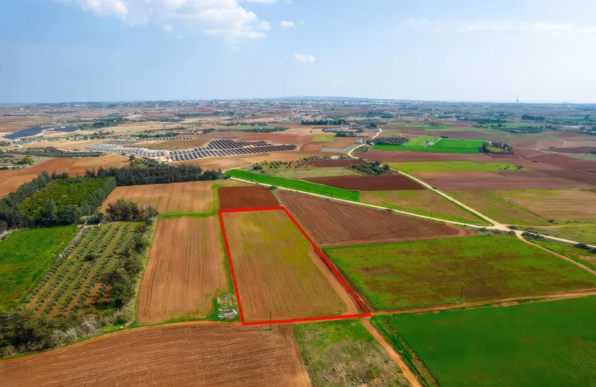 Agricultural land - 18499, photo 4