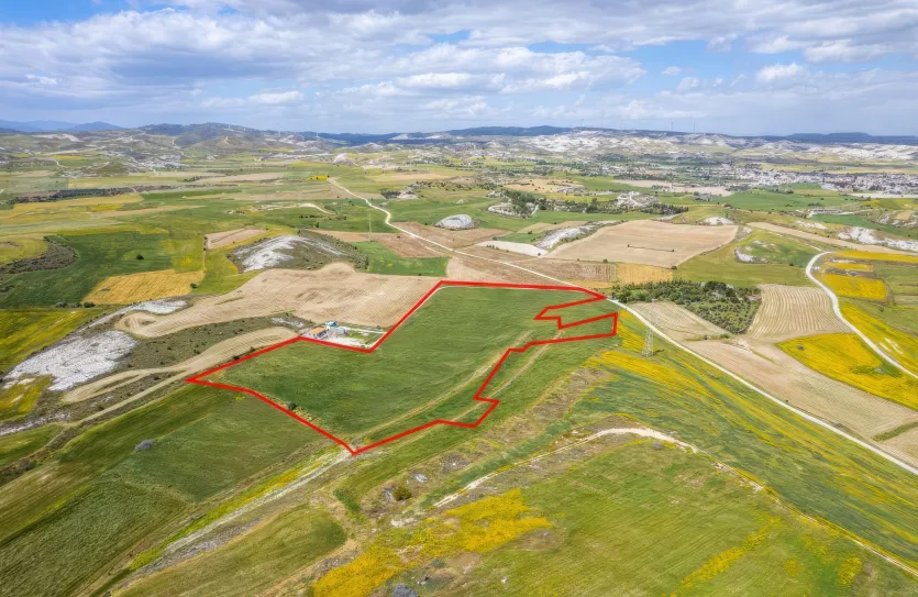 Agricultural land - 18501, photo 4