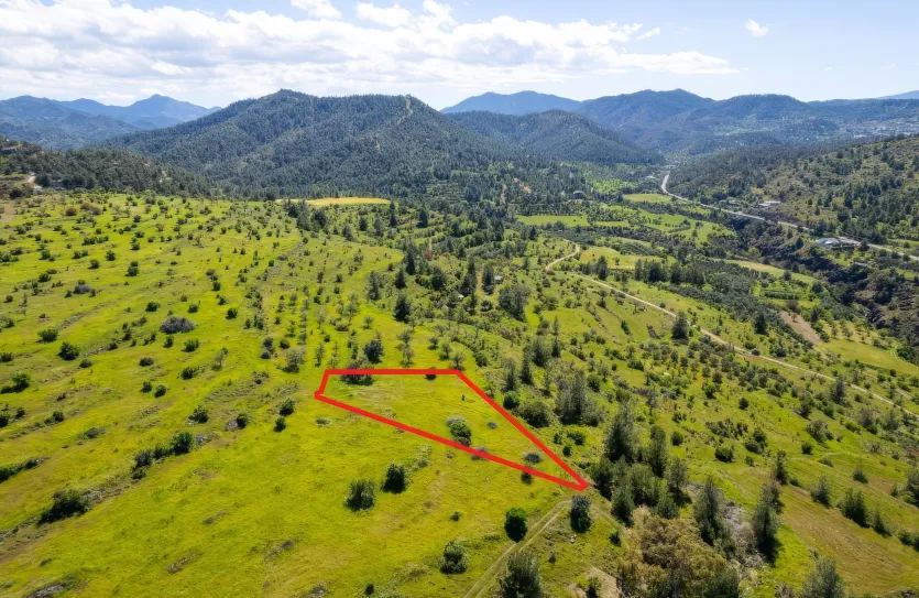 Agricultural land - 18500, photo 2