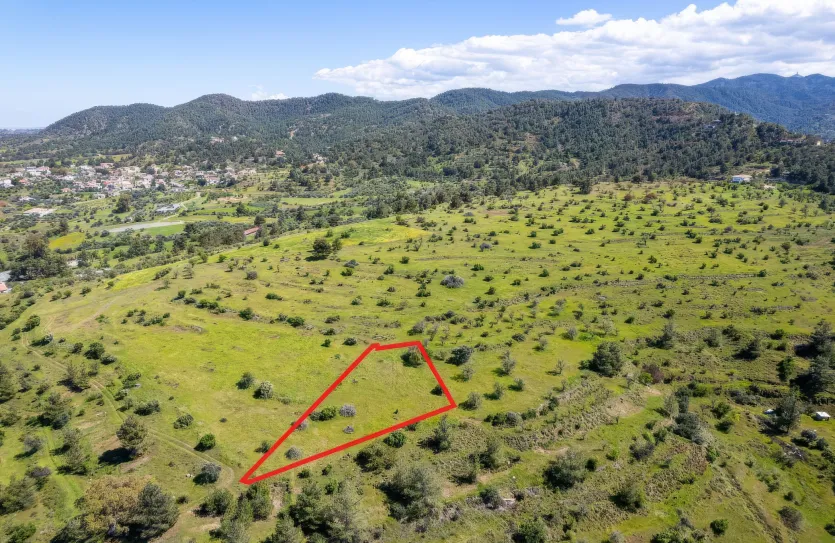 Agricultural land - 18500, photo 3