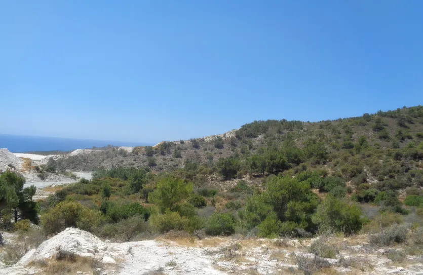 Сельхоз земля - 18509, photo 2