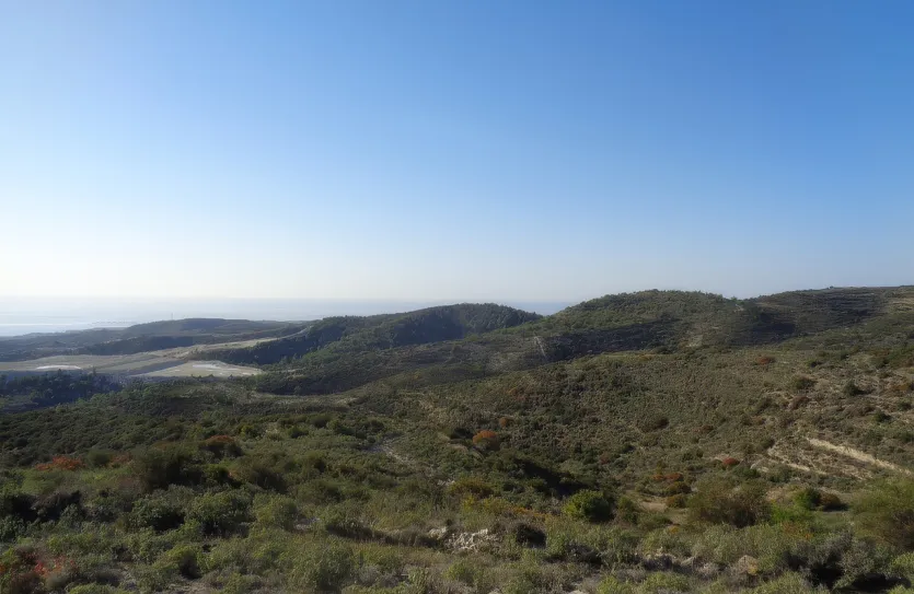 Сельхоз земля - 18509, photo 3