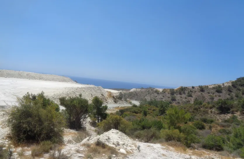 Сельхоз земля - 18509, photo 4