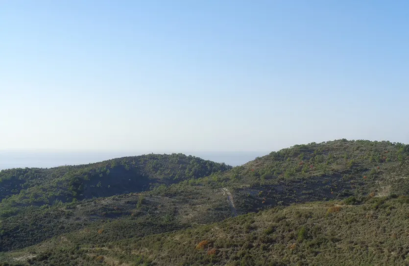 Сельхоз земля - 18509, photo 5