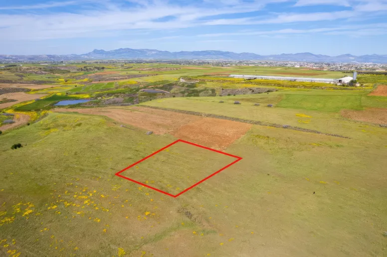 Agricultural land in Nicosia, Palaiometocho