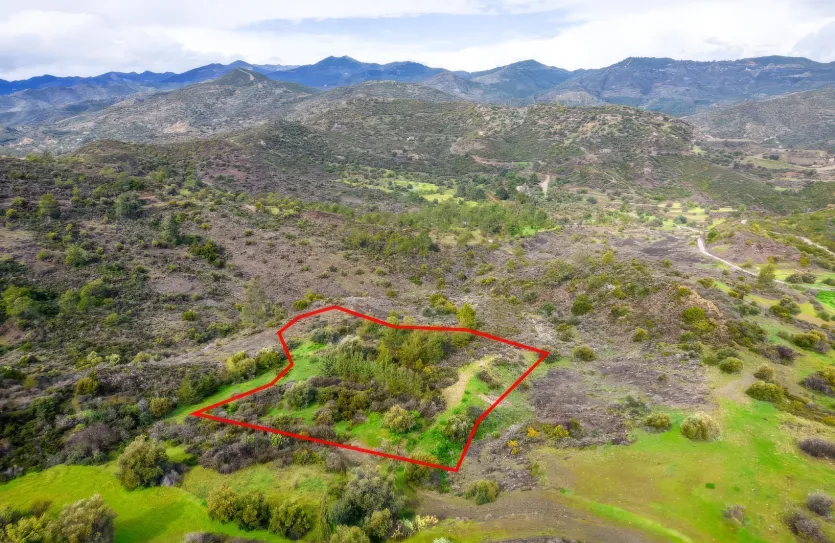 Agricultural land - 18514, photo 2