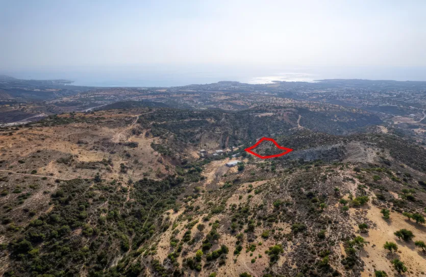 Agricultural land - 18515, photo 2