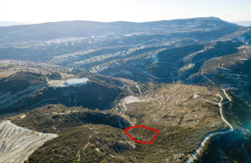 Сельхоз земля - 18517, photo 2