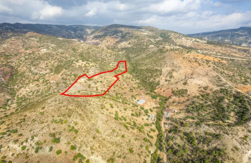 Agricultural land - 18520, photo 2