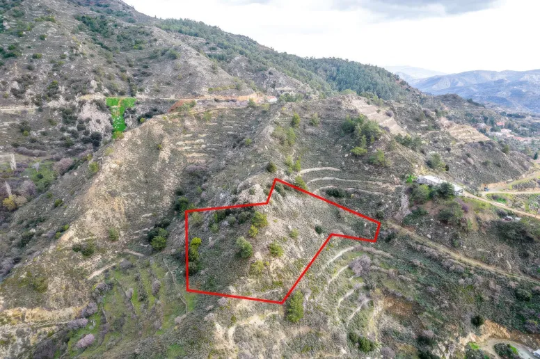 Agricultural land in Zoopigi, Limassol