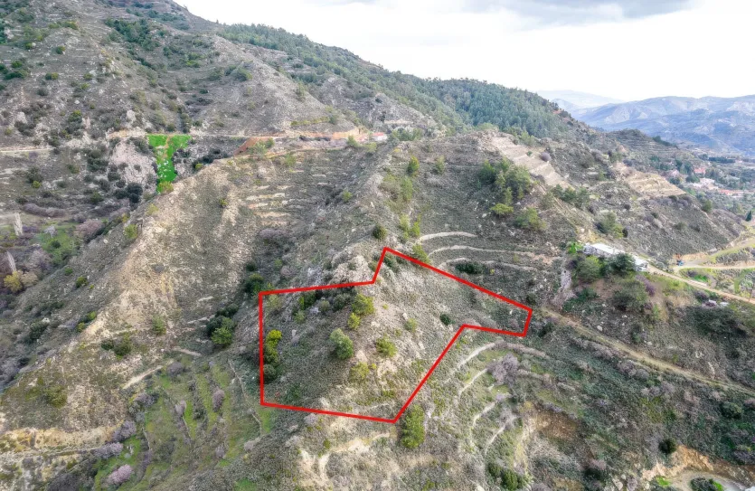 Сельхоз земля продажа - 18526