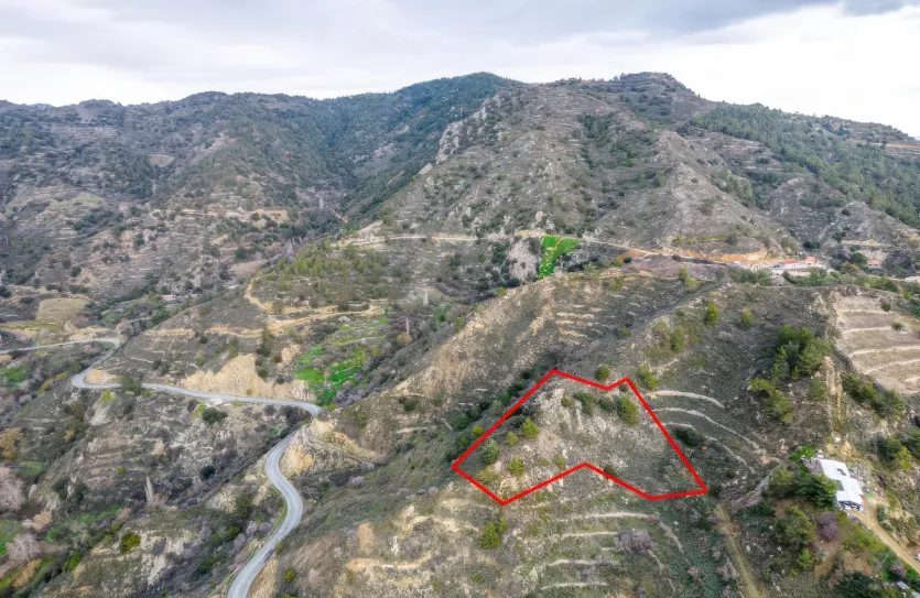 Сельхоз земля - 18526, photo 2