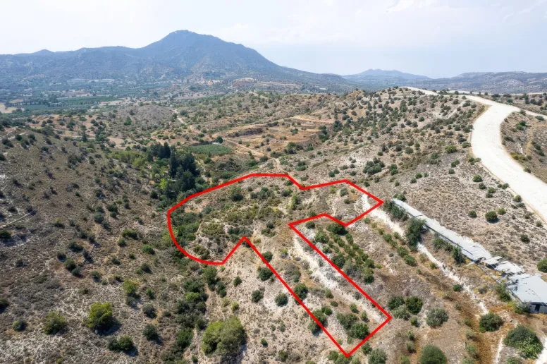Agricultural land in Anglisides, Larnaca