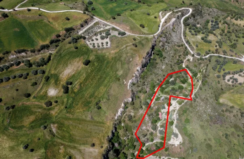 Agricultural land - 18529, photo 5