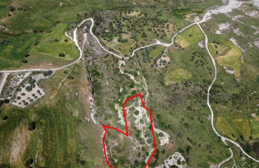 Agricultural land - 18529, photo 6