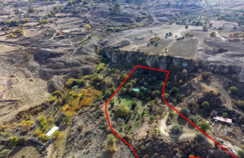 Agricultural land - 18532, photo 2