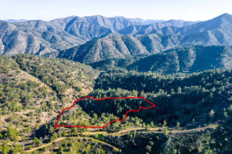 Agricultural land in Nicosia, Fterikoudi