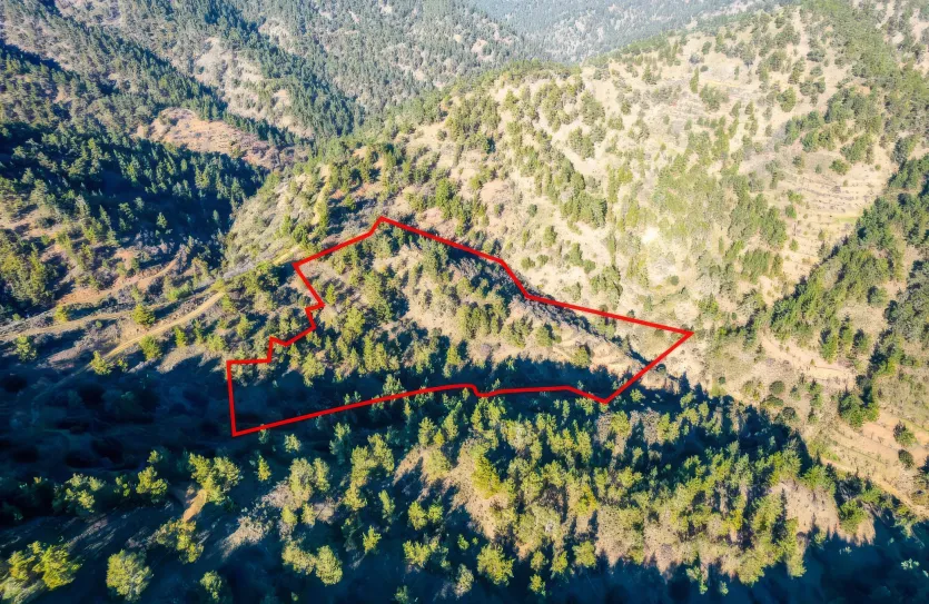 Agricultural land - 18528, photo 3