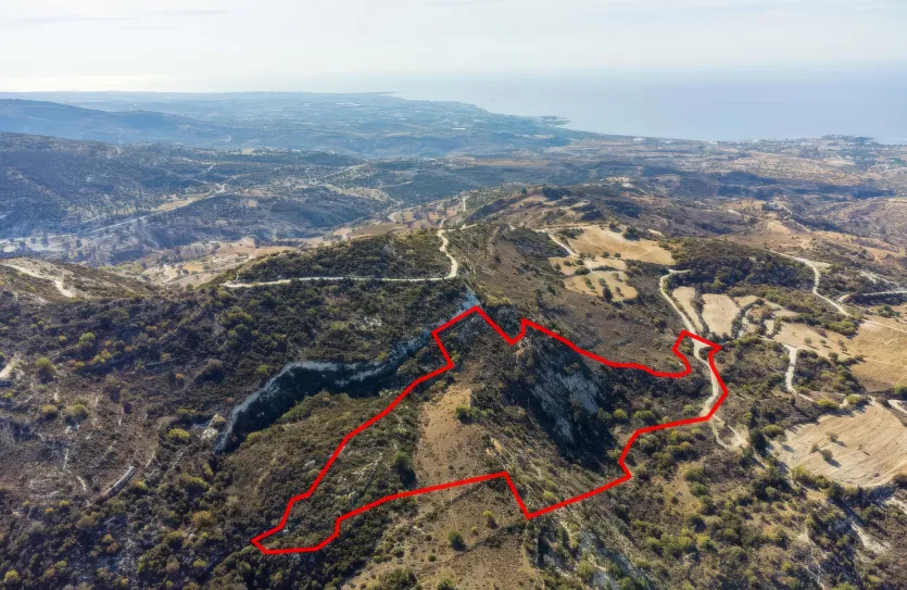 Сельхоз земля продажа - 18531