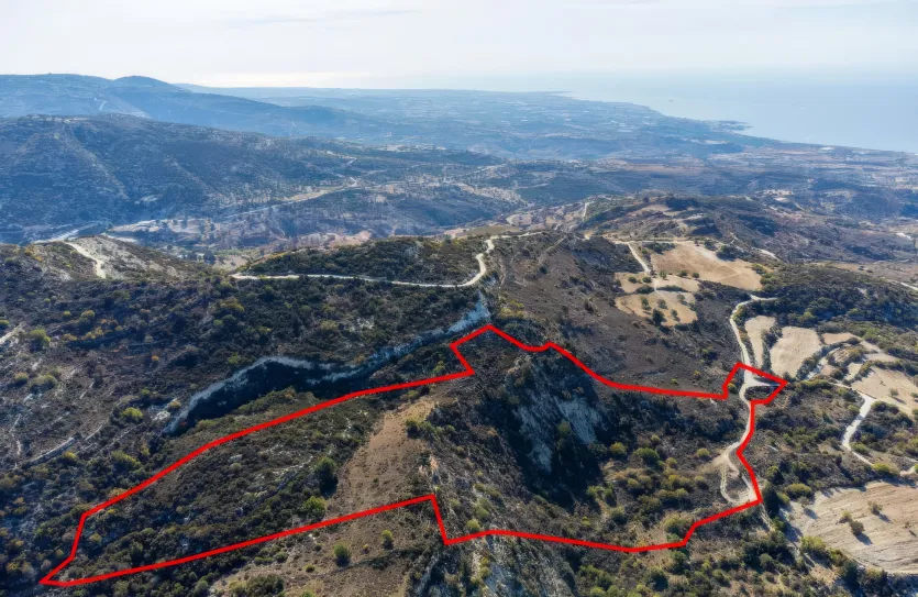 Сельхоз земля - 18531, photo 3