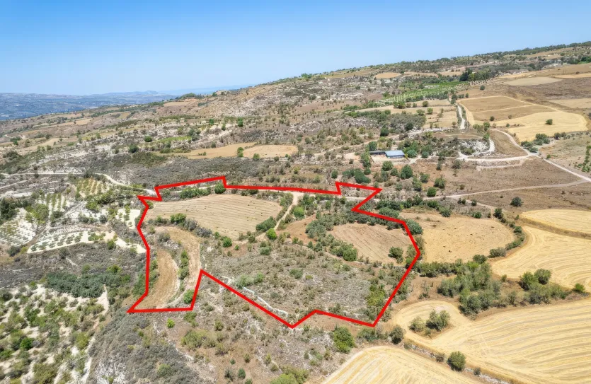 Agricultural land - 18535, photo 3