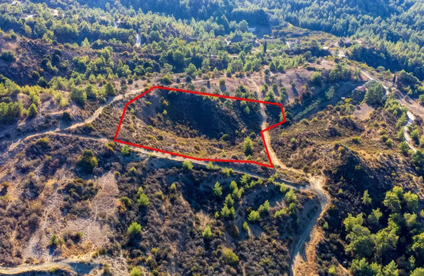 Agricultural land - 18533, photo 2