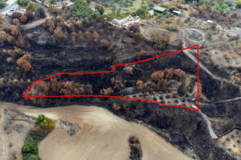 Agricultural land in Drymou, Paphos