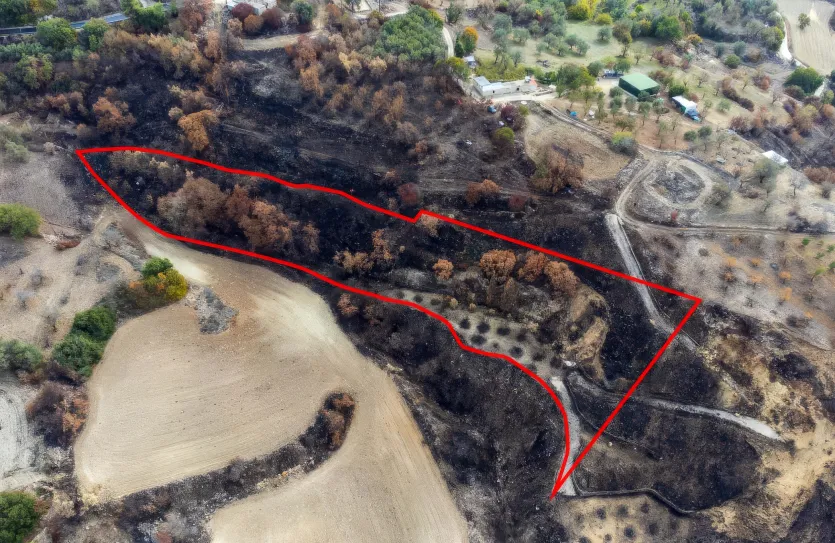 Сельхоз земля - 18536, photo 2