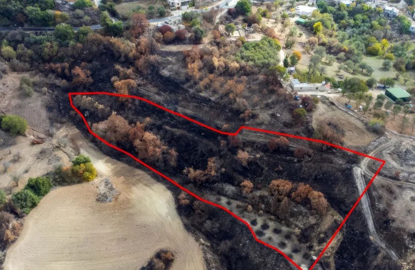 Сельхоз земля - 18536, photo 3