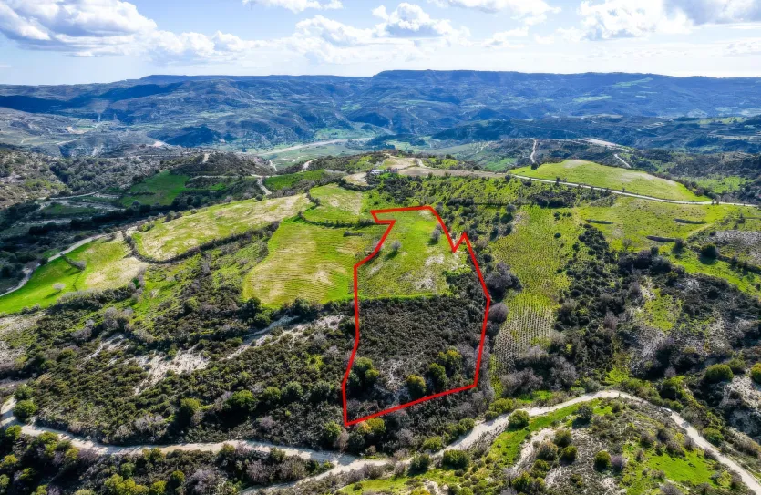 Agricultural land - 18534, photo 3