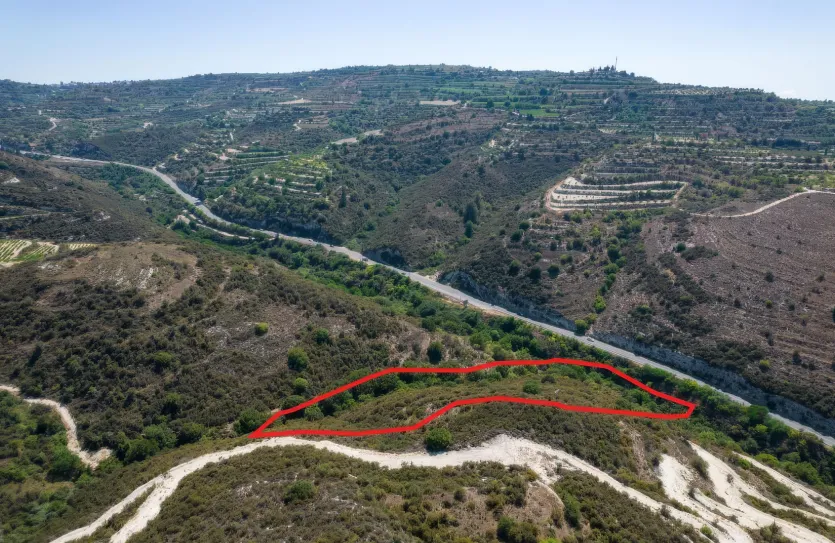 Agricultural land - 18540, photo 3