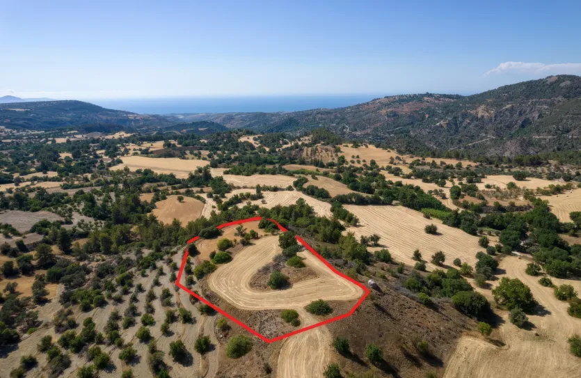 Agricultural land - 18541, photo 2