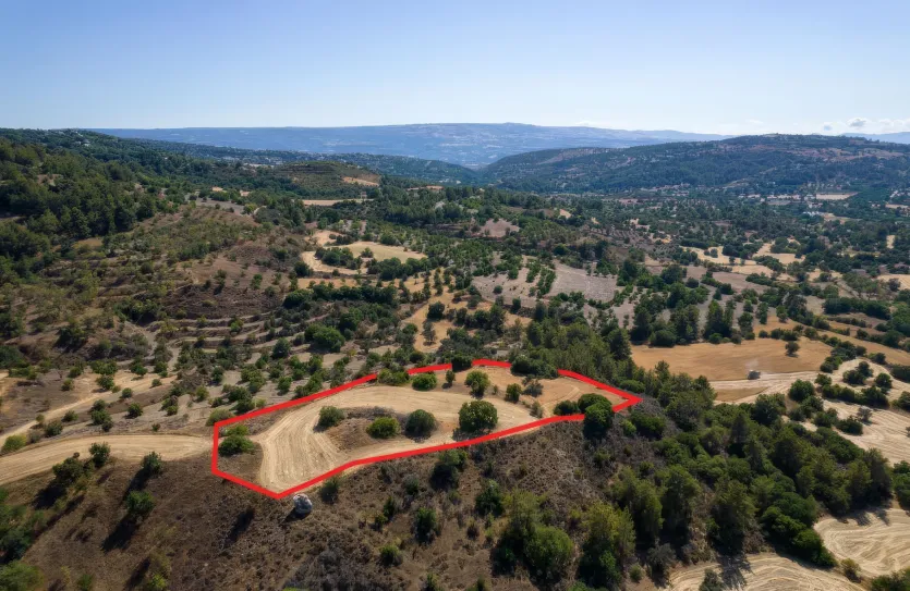 Agricultural land - 18541, photo 3