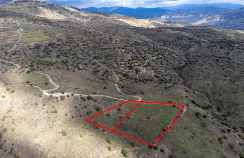 Agricultural land - 18544, photo 2