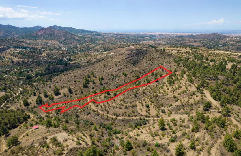 Agricultural land - 18542, photo 2